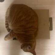 ヒメ日記 2026/01/17 13:00 投稿 河野 熟女の風俗最終章 横浜本店