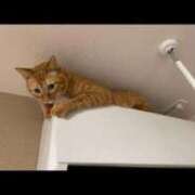 河野 (o^^o) 熟女の風俗最終章 横浜本店