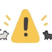 ヒメ日記 2026/01/25 20:48 投稿 ふぶき（責め専門♪） マドンナSANSAIN