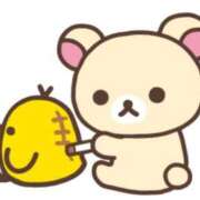 ここあ 本日 吉原ファーストレディ