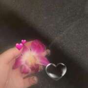 ヒメ日記 2025/12/29 06:25 投稿 りおん「りおん」 ピュアセレクラブ