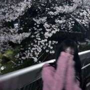 ヒメ日記 2026/01/30 21:13 投稿 りおん「りおん」 ピュアセレクラブ