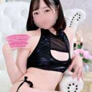 ヒメ日記 2025/12/17 15:14 投稿 すいせい ジャパンクラブ富士