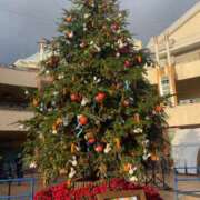 ヒメ日記 2025/11/18 16:18 投稿 りの 池袋人妻城