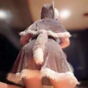 ヒメ日記 2025/12/23 10:08 投稿 みずき クリスタル