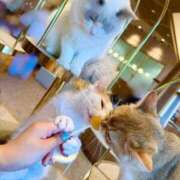 ヒメ日記 2025/12/28 19:25 投稿 みずき クリスタル