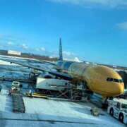 ヒメ日記 2026/01/09 17:06 投稿 みずき クリスタル