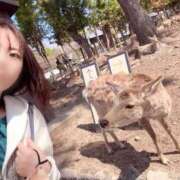 ヒメ日記 2026/04/04 13:06 投稿 みずき クリスタル