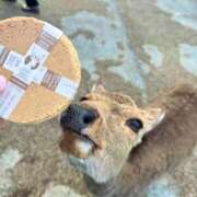 ヒメ日記 2026/04/04 13:56 投稿 みずき クリスタル