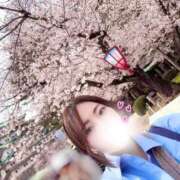 ヒメ日記 2026/04/06 00:26 投稿 みずき クリスタル