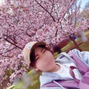 ヒメ日記 2026/04/23 18:16 投稿 みずき クリスタル