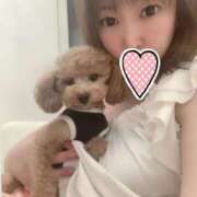 ヒメ日記 2025/12/10 00:11 投稿 えれな 水戸ソープランド　水戸スリーナイン(9990)