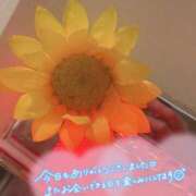 ヒメ日記 2026/07/18 22:51 投稿 ひより Juicy Kiss 北上店