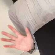 ヒメ日記 2025/11/17 08:02 投稿 しずく ホワイトベル