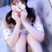 ヒメ日記 2026/02/15 09:31 投稿 朝宮　らな ピンクダイア