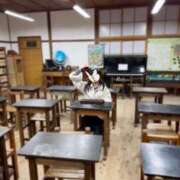 ヒメ日記 2026/03/17 12:06 投稿 朝宮　らな ピンクダイア