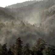 ヒメ日記 2026/03/02 00:06 投稿 雪城 熟女の風俗最終章　鶯谷店