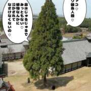 ヒメ日記 2026/03/06 23:26 投稿 雪城 熟女の風俗最終章　鶯谷店