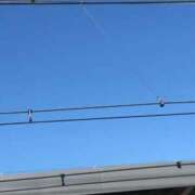 ヒメ日記 2025/12/19 09:57 投稿 なぎさ 妻天 梅田店