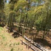 ヒメ日記 2026/04/16 13:50 投稿 なぎさ 妻天 梅田店