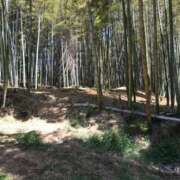 ヒメ日記 2026/04/16 14:00 投稿 なぎさ 妻天 梅田店