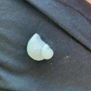 ヒメ日記 2026/02/17 20:27 投稿 るみ 岐阜岐南各務原ちゃんこ