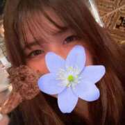 ヒメ日記 2025/12/24 13:33 投稿 りお ギャルサー