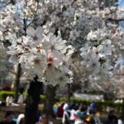 ヒメ日記 2026/04/03 20:33 投稿 りお ギャルサー