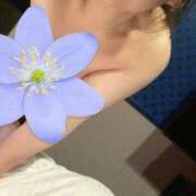 ヒメ日記 2026/04/25 01:48 投稿 りお ギャルサー