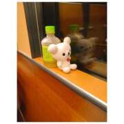 ヒメ日記 2025/11/21 09:29 投稿 うた 美熟女倶楽部Hip's 春日部店