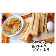 ヒメ日記 2025/11/29 11:22 投稿 うた 美熟女倶楽部Hip's 春日部店