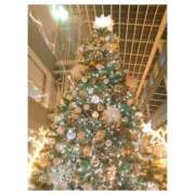 ヒメ日記 2025/12/15 09:42 投稿 うた 美熟女倶楽部Hip's 春日部店