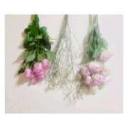 ヒメ日記 2025/12/17 12:42 投稿 うた 美熟女倶楽部Hip's 春日部店