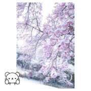 ヒメ日記 2026/02/23 11:22 投稿 うた 美熟女倶楽部Hip's 春日部店