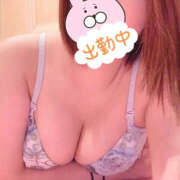 ヒメ日記 2025/12/09 08:09 投稿 すみれ 鎌倉御殿 新館