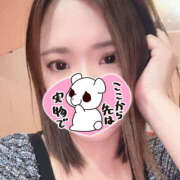 ヒメ日記 2025/12/13 08:42 投稿 すみれ 鎌倉御殿 新館