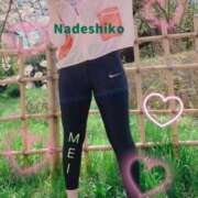 まい 桜！まい 横浜人妻花壇本店