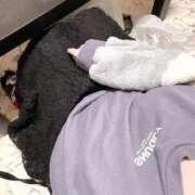 ヒメ日記 2025/11/15 12:13 投稿 ゆうな 待ちナビ