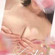 ヒメ日記 2025/11/25 02:11 投稿 まゆみ 華椿（YESグループヨコハマ）