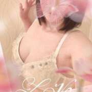 ヒメ日記 2025/11/30 15:11 投稿 まゆみ 華椿（YESグループヨコハマ）