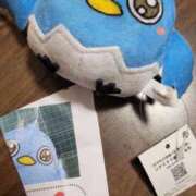 ヒメ日記 2025/11/19 19:04 投稿 ゆりこ 妖精（ようせい）