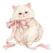 ヒメ日記 2025/11/16 13:57 投稿 あみ(エッチな事大好き♡♡♡♡) コスパラ(延岡)