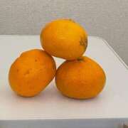 ヒメ日記 2025/12/07 00:13 投稿 月麦-つむぎ【FG系列】 ほんつま 沼津店 (FG系列)