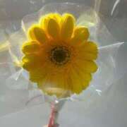 ヒメ日記 2025/12/18 04:35 投稿 みなみ 京都 泡洗体ハイブリッドエステ PUPPY LOVE 京都駅前本店