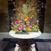 みなみ 5日間ありがとうございましたཐིཋྀ⋆ ベルサイユの薔薇