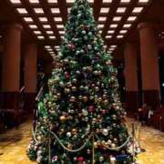 ヒメ日記 2025/12/18 22:35 投稿 みなみ ベルサイユの薔薇