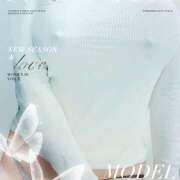 ヒメ日記 2026/01/28 08:00 投稿 片瀬なお 五十路マダム姫路店