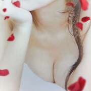 ヒメ日記 2026/03/11 07:50 投稿 片瀬なお 五十路マダム姫路店