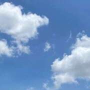 ヒメ日記 2026/05/19 13:59 投稿 せれな 五反田人妻ヒットパレード（シンデレラグループ）