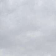 ヒメ日記 2026/08/12 12:27 投稿 せれな 五反田人妻ヒットパレード（シンデレラグループ）